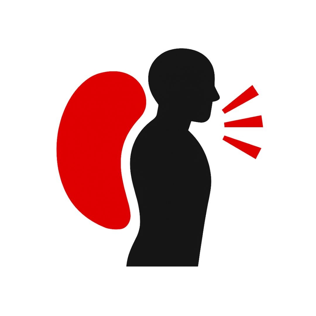 Predisposizione airbag